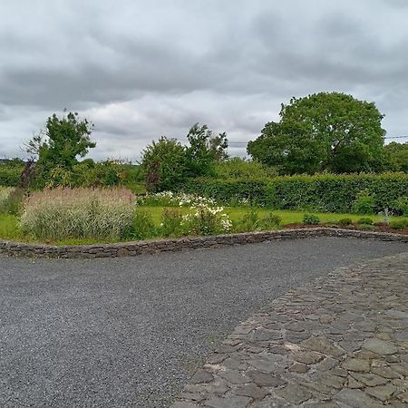 Conveniently Located House To Enjoy All Of Kerry Tralee Exterior foto