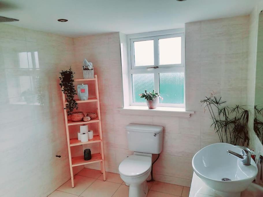 Conveniently Located House To Enjoy All Of Kerry Tralee Exterior foto